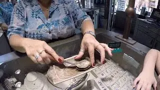 Day 1 in Florida Oysters & Pearls