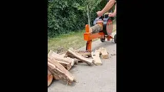 ProGARDEN BT-EK5despicător cinetic pentru bușteni #Shorts