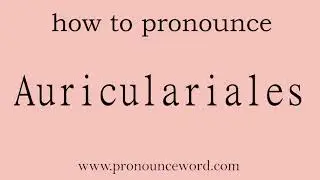 Auriculariales: How to pronounce Auriculariales in english (correct!).Start with A. Learn from me.