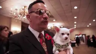Dog Fashion: 2017 New York Pet Fashion Show