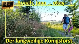 Der langweilige Königsforst: Bachtäler im Osten des Königsforst bei Köln