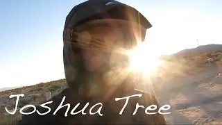 Getting Weird At Joshua Tree