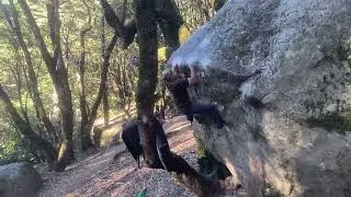 Eco Terrorist V10