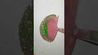 satisfying acrylic painting 🎨✨️#shorts #acrylicpainting #art #satisfying #ytshorts #viralshorts