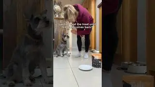 Can He Resist The Dog Treat? 😂