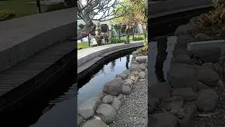 lokasi Peta park #shortsvideo