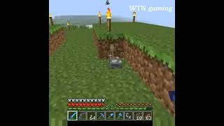 minecraft video
