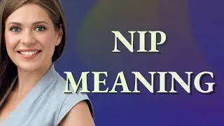 Nip | meaning of Nip