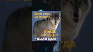 Как зарабатывают на играх? #геймдев #лутбоксы #деньгивиграх