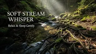 Healing Forest Ambience with Flowing Water Sounds for Sleep Study Meditation and Inner Peace