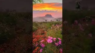 #shorts #trendingshorts #viralvideo #starstatus #highlights