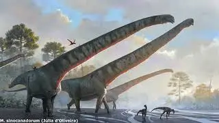 Rise of the Titans: Examining the Early Evolution of Sauropods