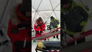 Journey from deep in the glacier at Svalbard and to the labs ↕️ #shorts