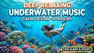 Calm Ocean Horizon 🌌 &bull; Soothing Relaxation Music for Sleep 😴 &bull; Soft Dreamwaves and Night Glow ✨