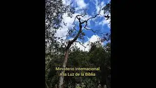 El infierno 
