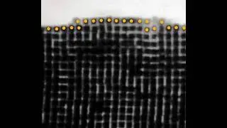 Watch nanoparticles grow into crystals