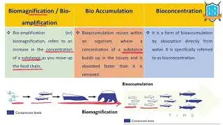 What is Biomagnification-Bioaccumulation-Bioconcentration - అంటే ఏమిటి? || La Excellence