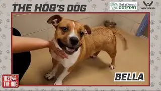 The HOG's Dog - October 3, 2023