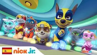 🐾 PAW Rescue Team 🚓 | 3D Cartoon Nursery Rhyme for Kids 🎵🚨