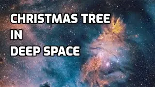 The Deep Space Christmas Tree Cluster #shorts