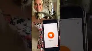 Funny CAT Moments 😂😂 episode 7653 #funnycats #cats #funnyanimals #petsofinstagram