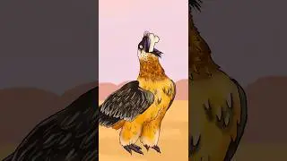 The Wild Life Cycle animation😮 #animation  #animals