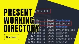 PRESENT WORKING DIRECTORY & CHANGE DIRECTORY KALI LINUX |CHAPTER 4| #kali #ethicalhacking #eccouncil