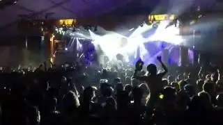 Tyler the Creator - What the Fuck Right Now (Intro) - Bonnaroo 2016 - This Tent