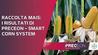 Raccolta mais: i numeri di Preceon Smart Corn System