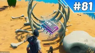 Fortbyte #81: Accessible in the Daytime near a Mountain top Cactus Wedge Location