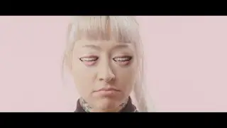 WE ARE WILD STAG STUDIO. WE MAKE MUSIC VIDEOS.