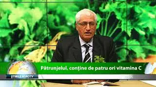 Patrunjelul contine de 4 ori vitamina C 24 02 2020