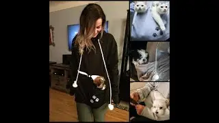 Top 6 Cats Apparel And Clothes | Amazon | Ali Express | Video | Review