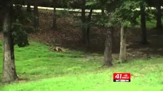Deer Hunting Safety Tips
