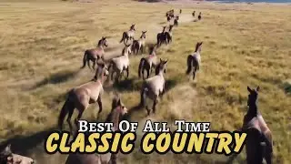 Dusty Strings & Neon Dreams &ndash; Country Barroom Playlist