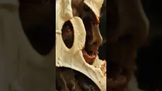 Twin#aphextwin #flesh #skin #decay #decayporn #aiart #aiartcommunity #stablediffusion #bodyhorror