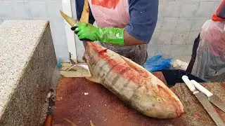 Giant Yellow Trevally Fish Fillet Live Slice Techniques। Trevally Fish Slice Performance