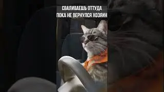 Угнал машину I SCUM #scum  #shorts