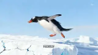 Pehla Kadam Kon Lega? 🐧 The Penguin Theory Explained | The Grind of Life