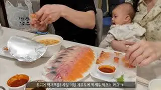 | HODU MOM's VLOG | 제주도 가족 여행 Day 1