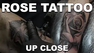 ROSE TATTOO TIMELAPSE !!