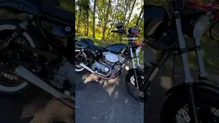 1989 Harley Davidson Sportster #harley #harleydavidson #harleydavidsonsportster #sportster #sporty