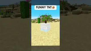 🤣FUNNY TNT vs DESTROYING TNT😱🧨#shorts #minecraft #tnt #tntmod