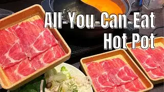 All-You-Can-Eat SHABU SHABU HOTPOT in TOKYO | SHABUYO