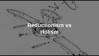 Reductionism vs Holism Debate
