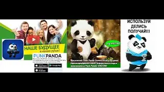 Регистрация и установка в приложения PunkPanda