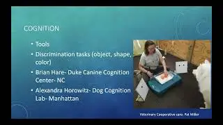 ACVB Webinar: 