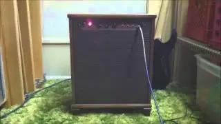 Lil' Leslie custom guitar amp DTS