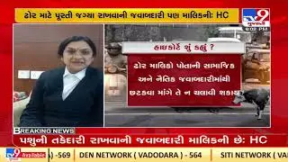 Owner liable to manage cattle space: Gujarat HC quashes PIL challenging 'Stray Cattle Control Bill'