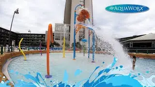 See the Worx - Wyndham Disney Springs